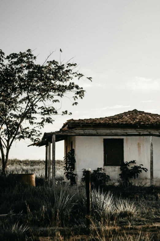 a run down house with a tree on the other side