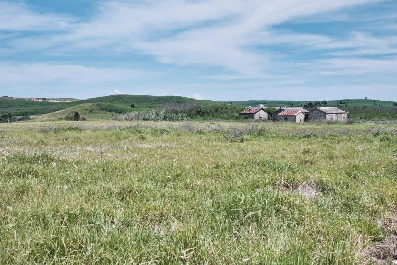 there is an abandoned house in the middle of a field