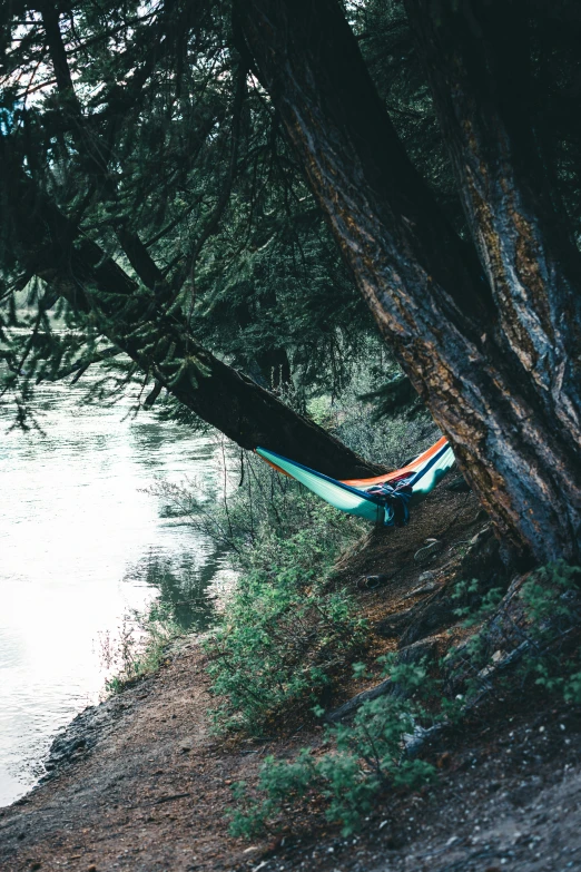 a hammock in a forest next to a river