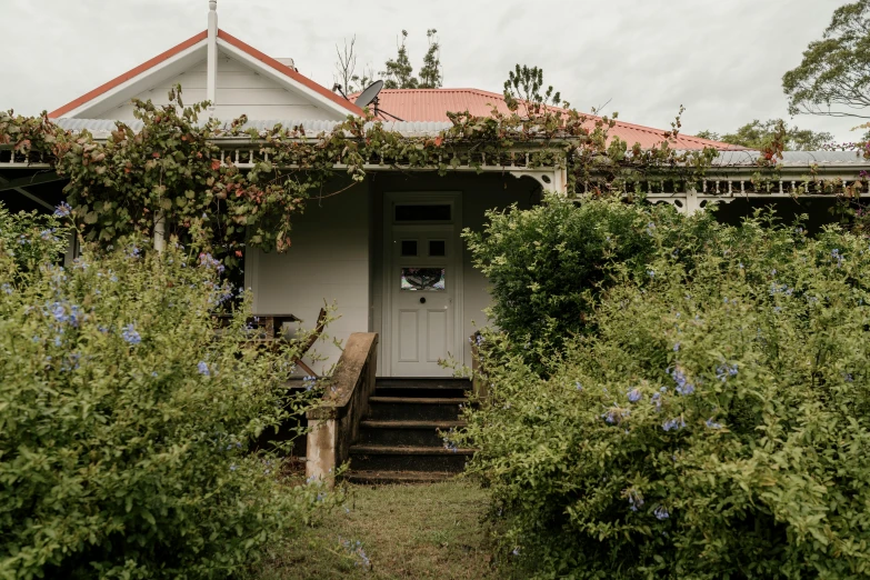 the door to a house with vines growing on it