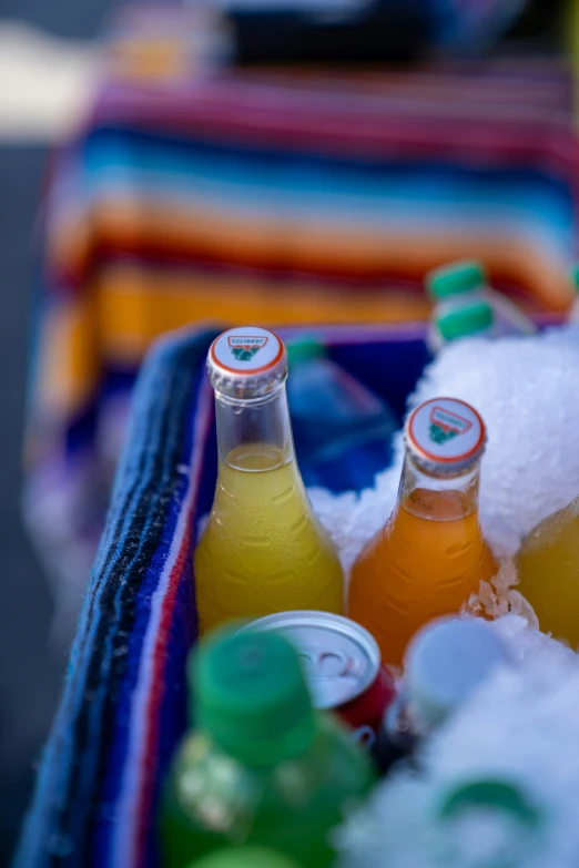 some beer bottles are in a cooler with snow on the ground