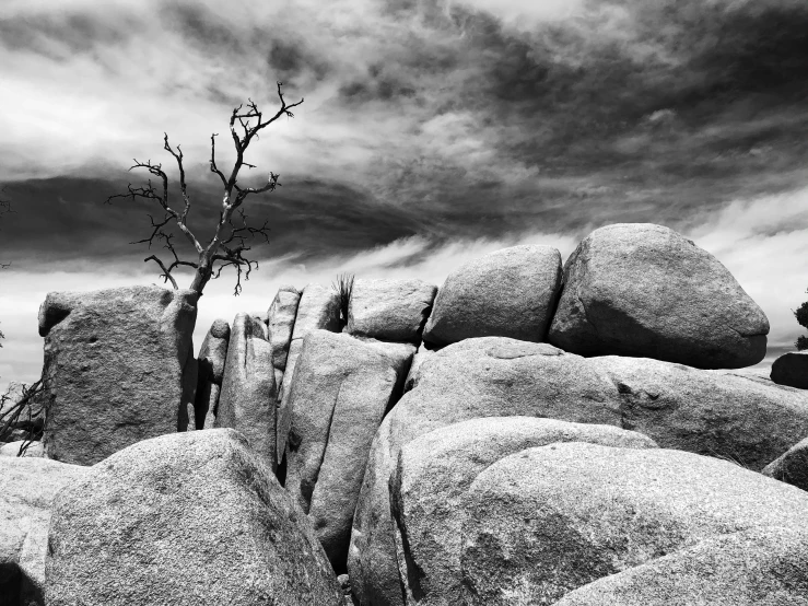 black and white po of rocks and tree with dark sky