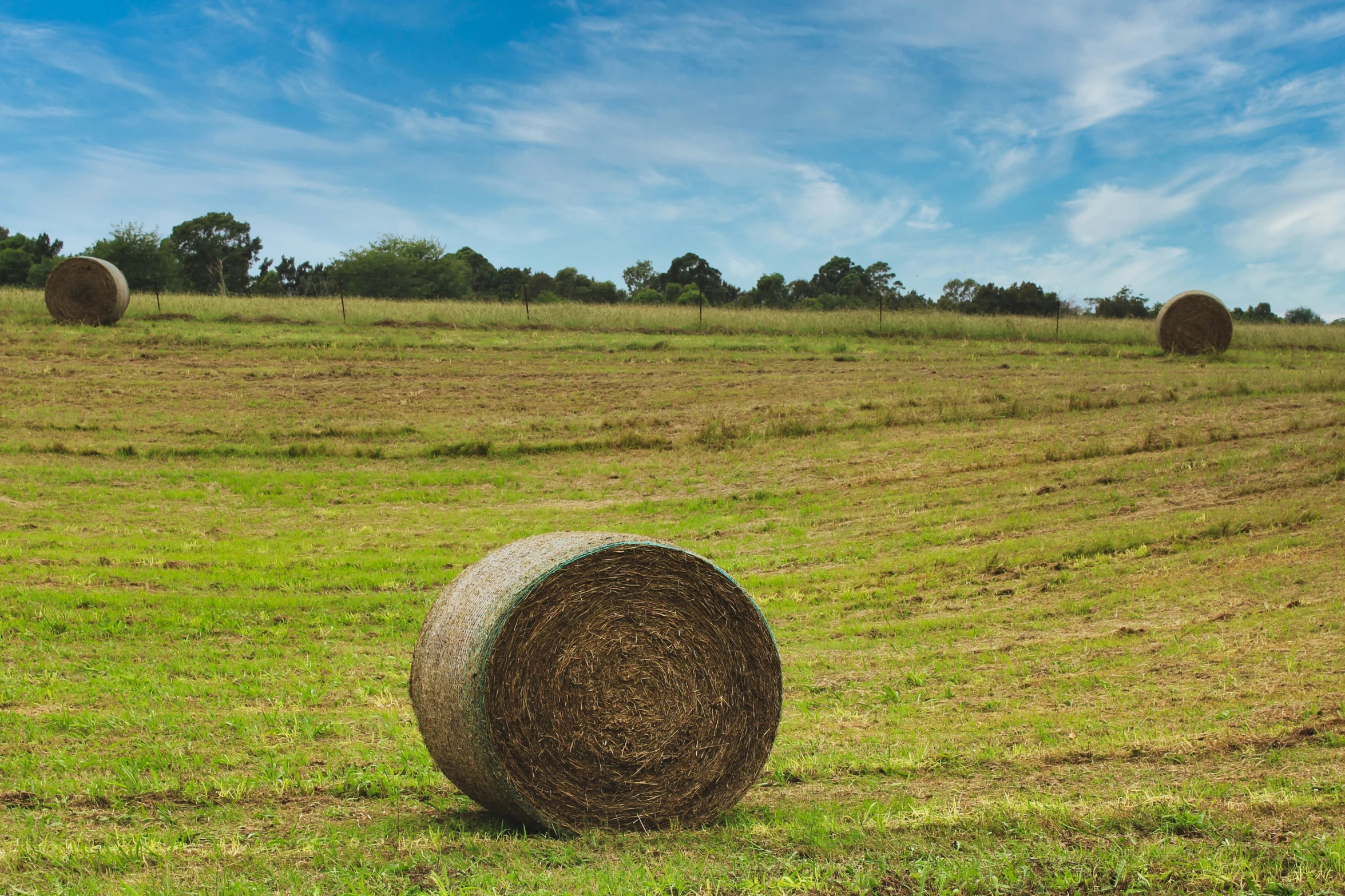 several round bales of hay are in an open field