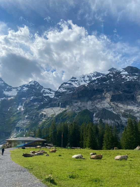 a mountain area that has many sheep grazing on the grass