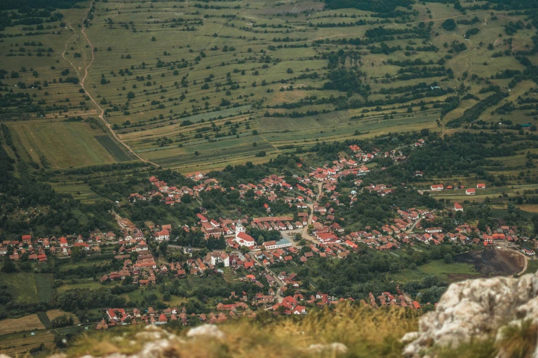 aerial view of the village and wooded area