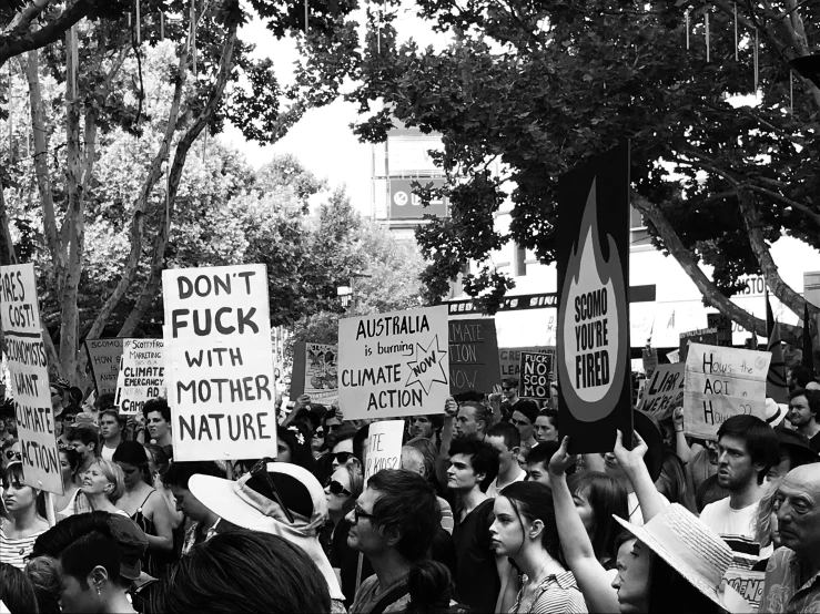 a large group of protesters at a demonstration in sydney