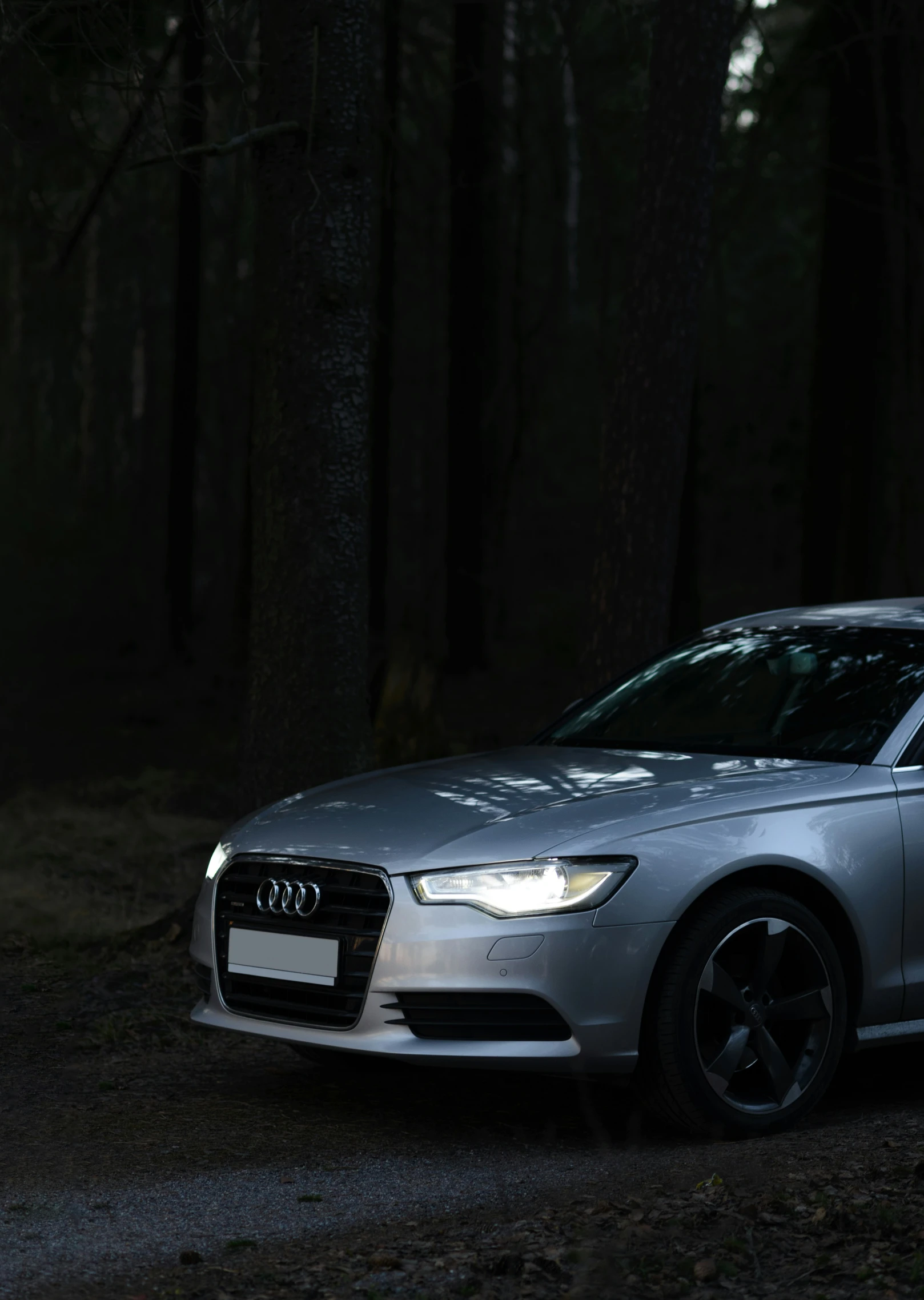 a silver car is parked in the forest