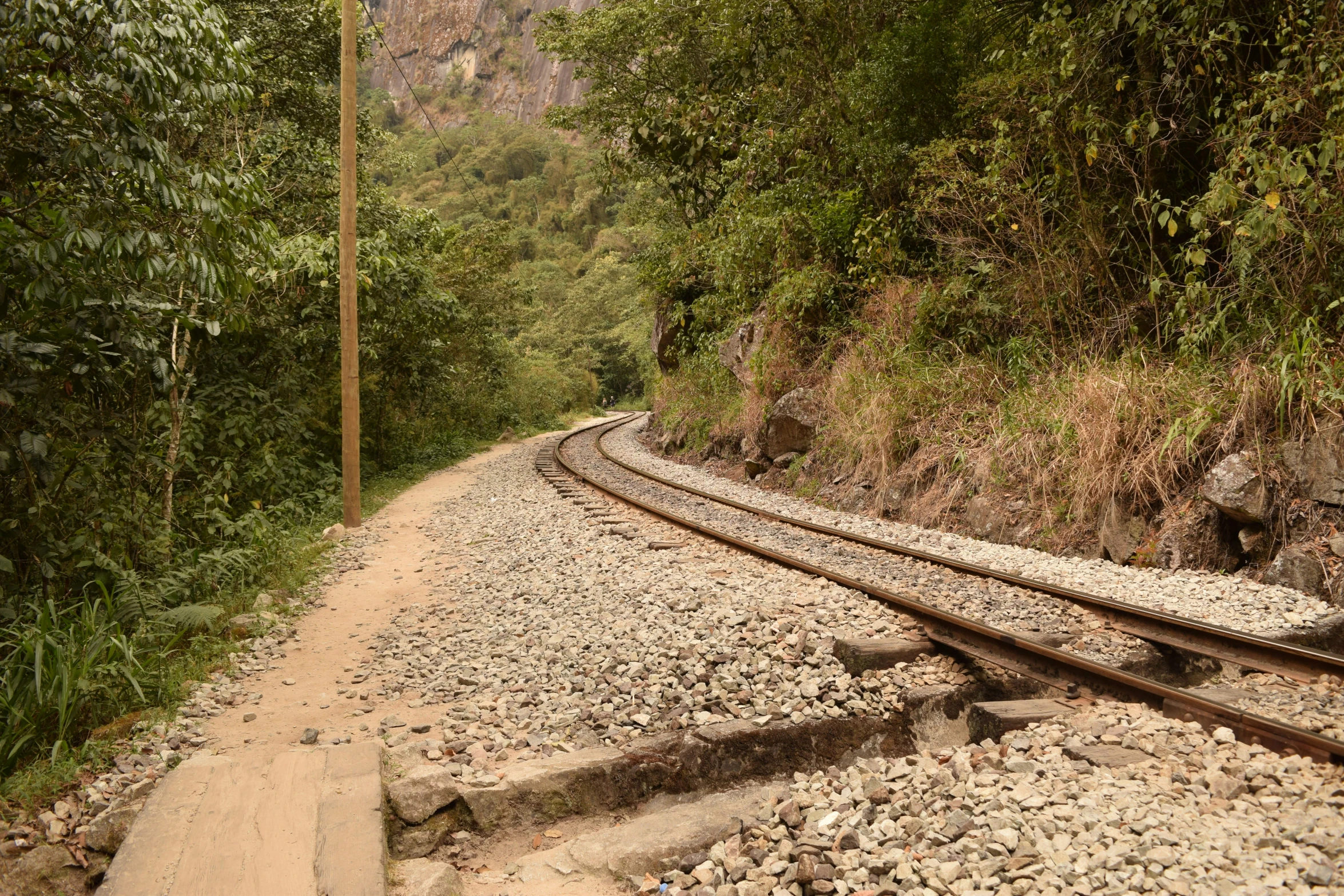 train tracks lead to a jungle, with a stone path in the middle