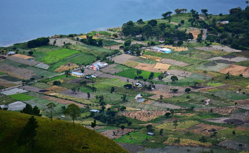 the village has lush green grass and many trees