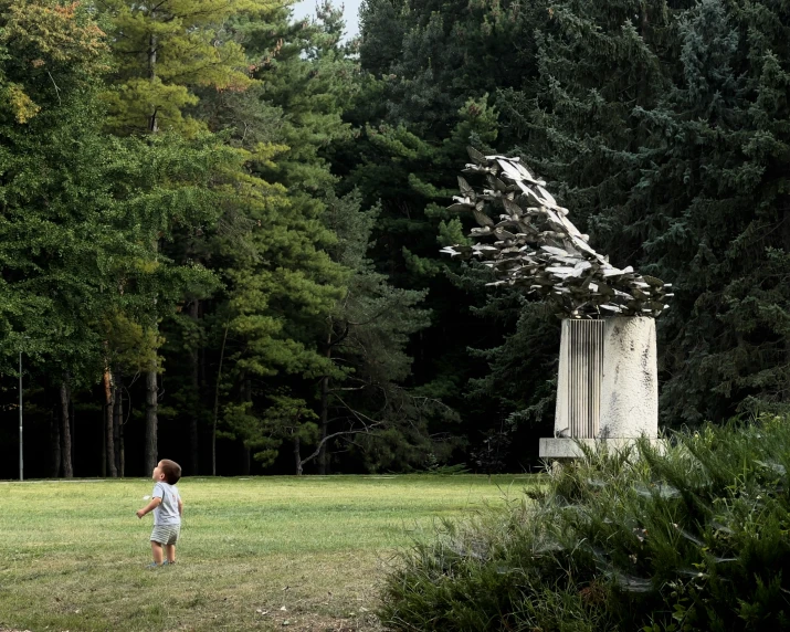 a little boy in a field near a monument