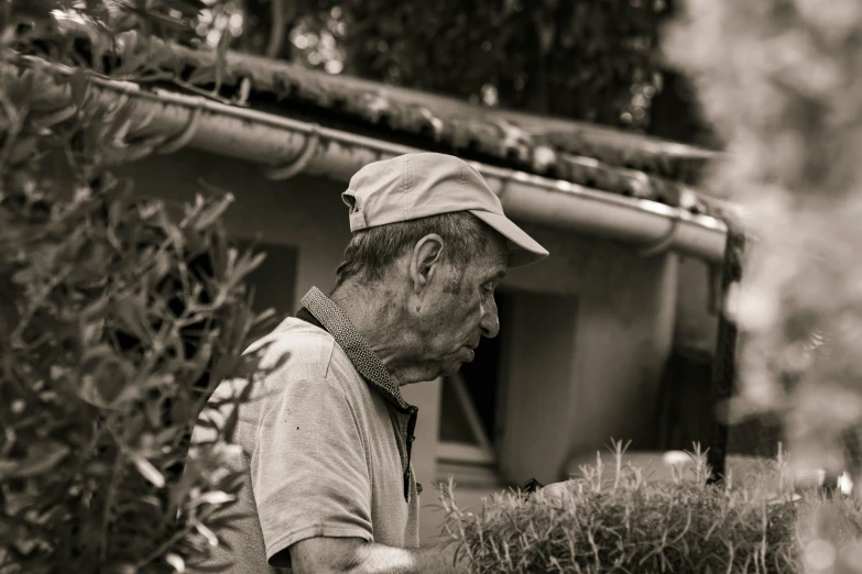 an elderly man is examining plants in the bushes