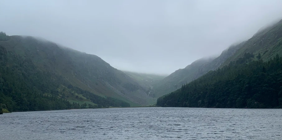 a boat glides through the waters near a forest