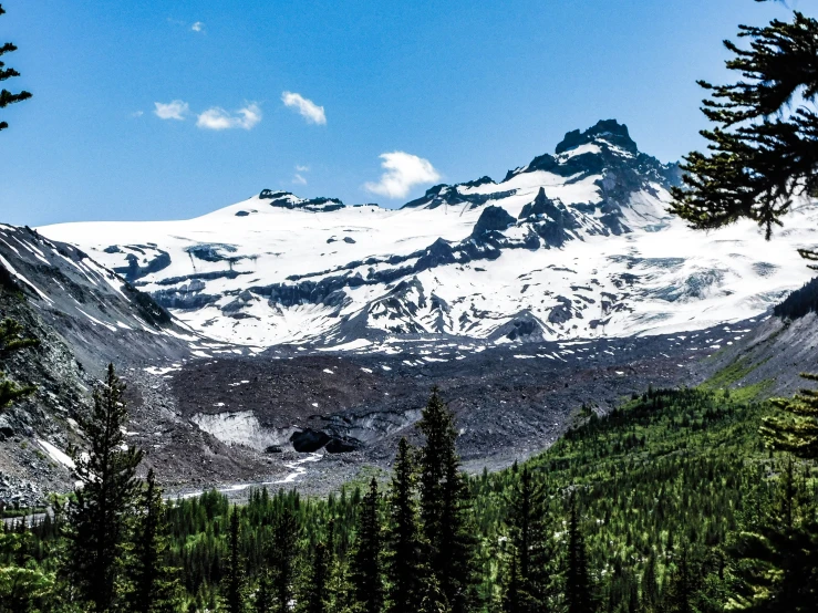 trees in the foreground and the mountain in the background with snow on it