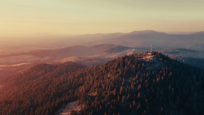 a mountain that has many trees in the mountains