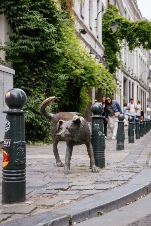 a gray and white dog walking on a cobble stone street