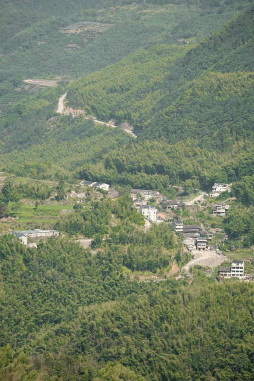 a green hill with lots of trees and buildings