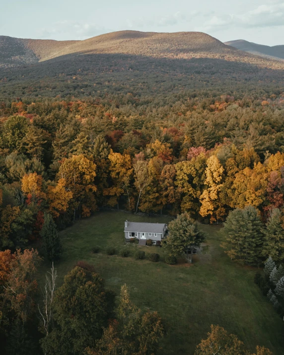 there is a small cabin in the middle of a forest