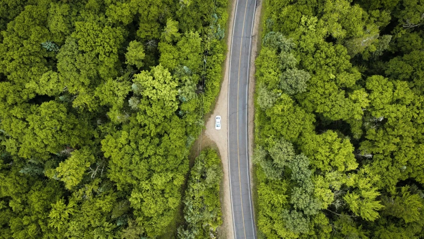 a winding road through a green forest in the middle of the woods