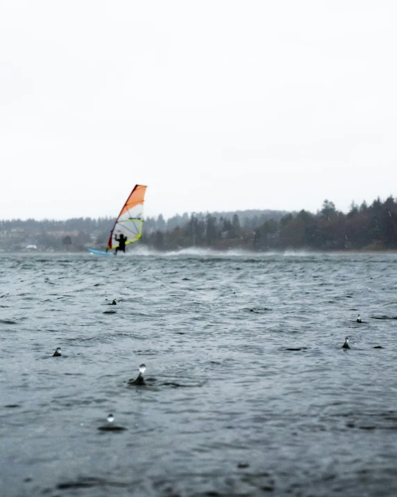 a man kite surfing on a lake surrounded by trees