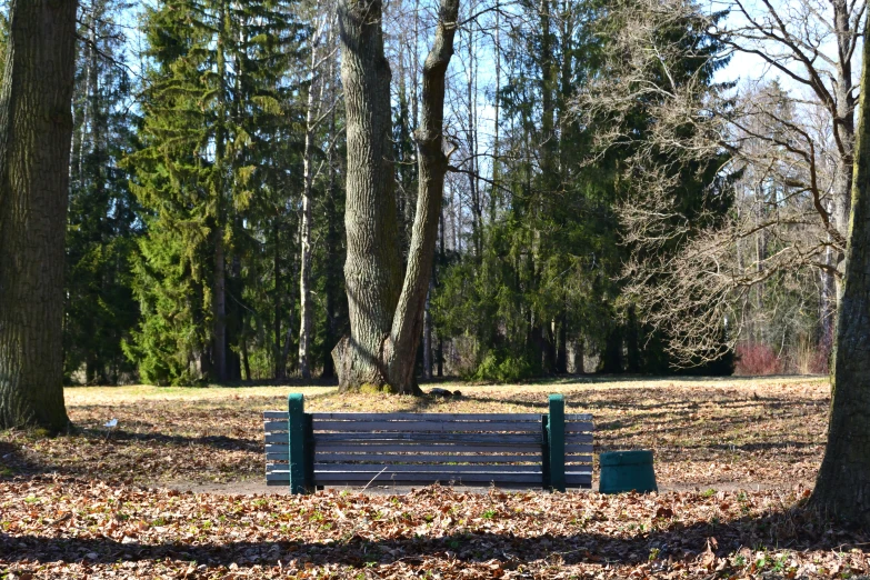 there is an empty bench by some trees