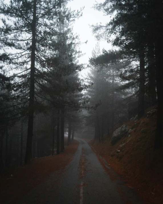 a pathway surrounded by trees with fog in the sky