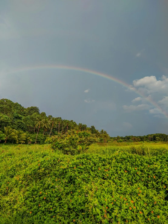 a double rainbow in a dark blue sky above a green field