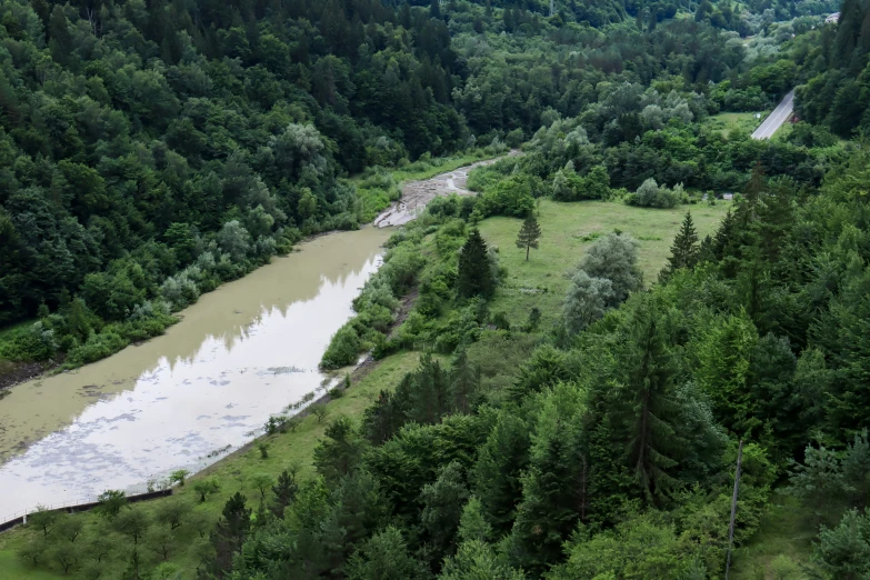 a river in the middle of a forest filled with trees