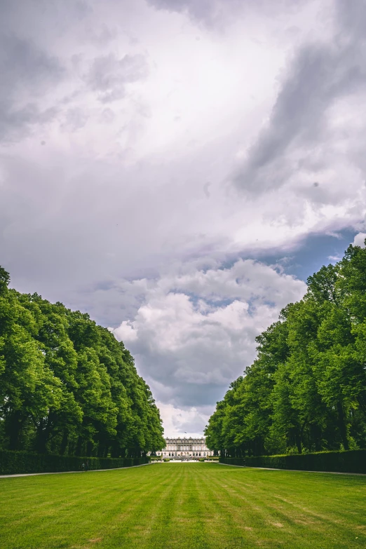 a huge grassy field with trees lining the edges