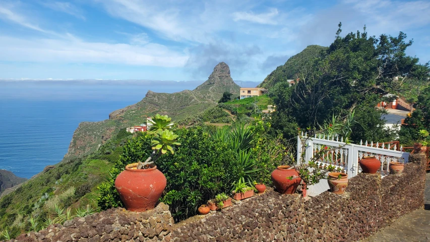 many pots of flowers sit by a white fence near the ocean