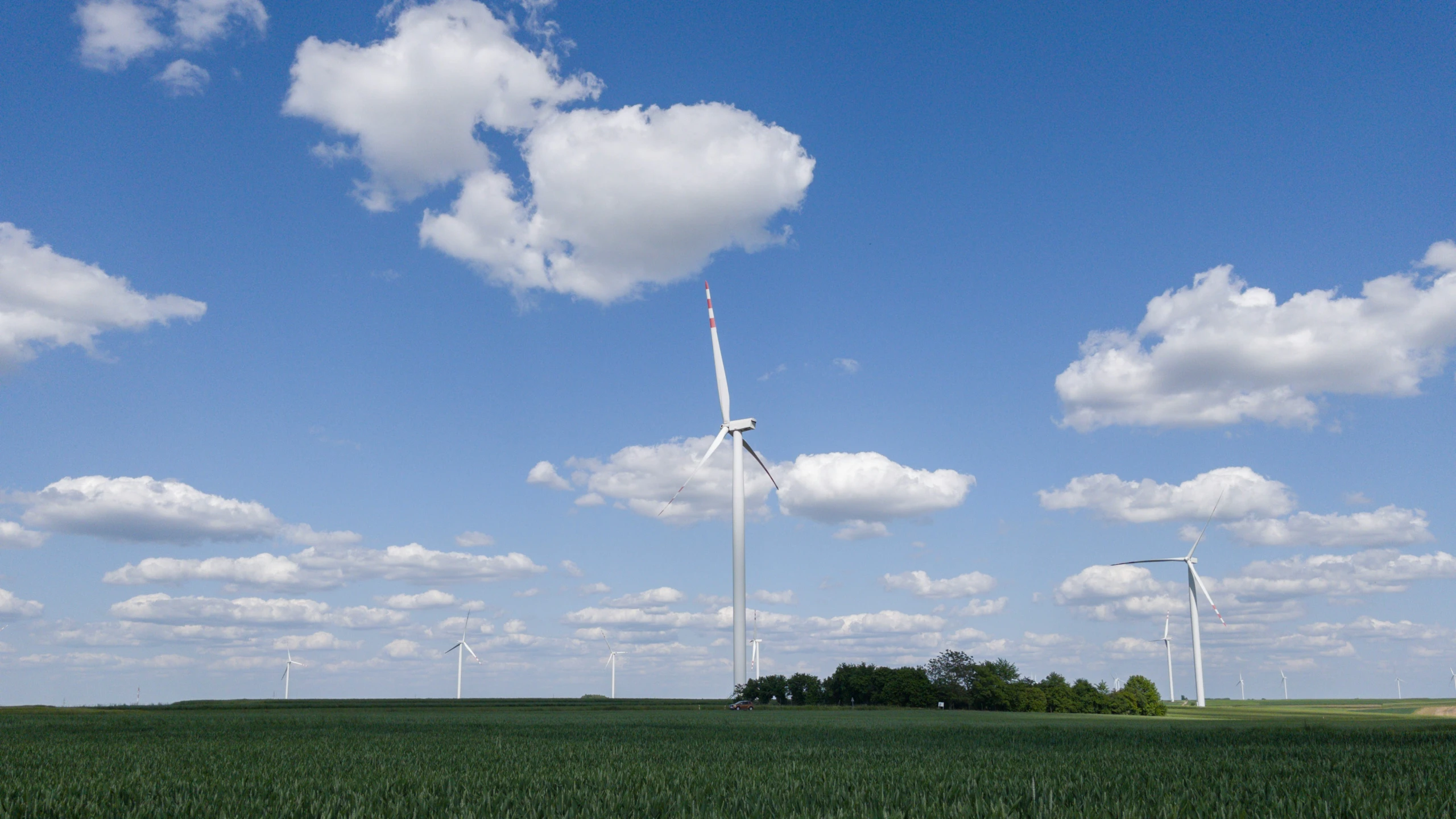 wind turbines and a green pasture with blue sky