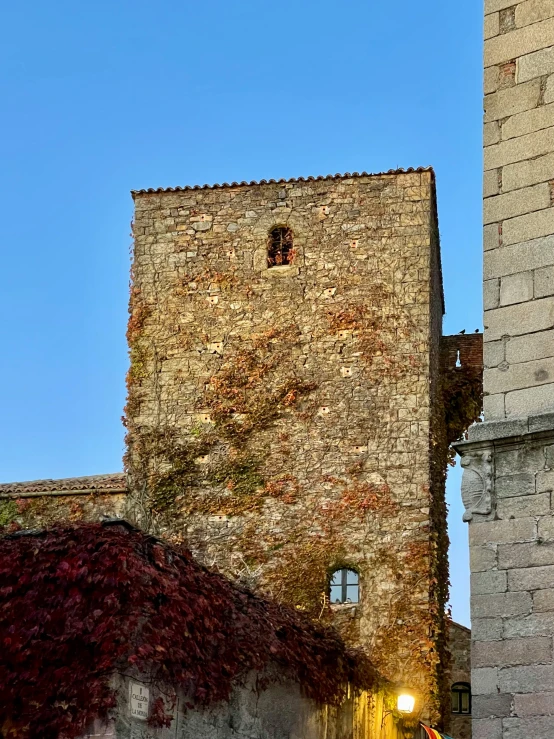 a brick building with vines covering the front and side