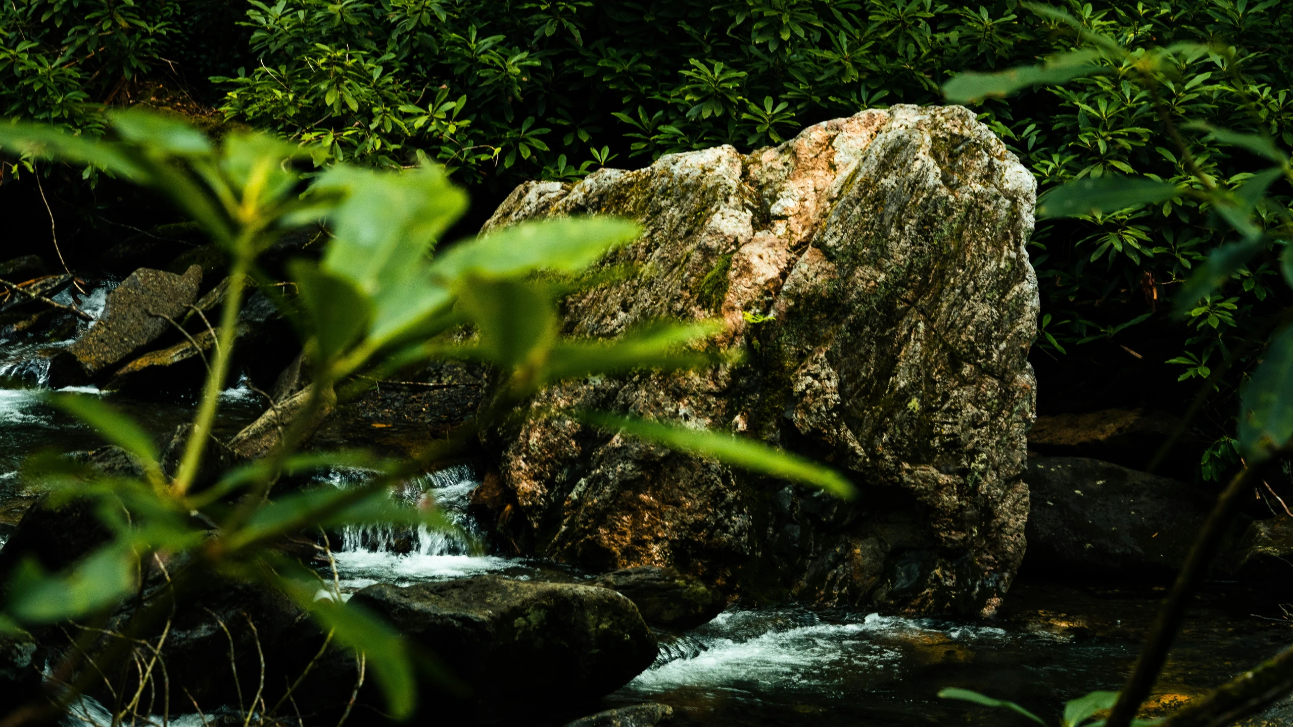 a closeup view of water in some small stream,