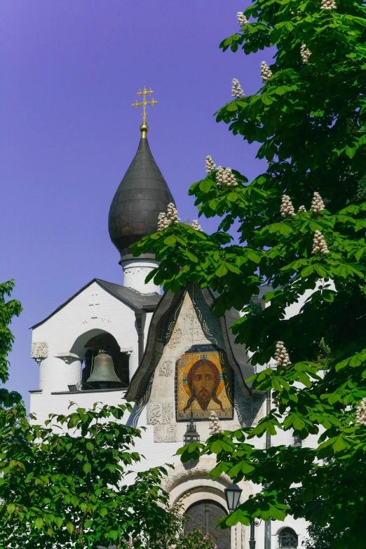 a church with trees surrounding it and an image of a dog on the wall