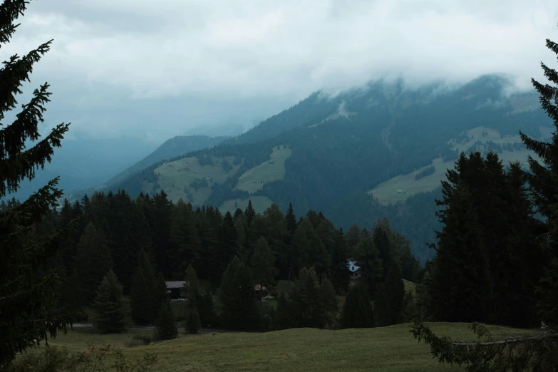 fog rolls in over the mountains covered with green fir trees