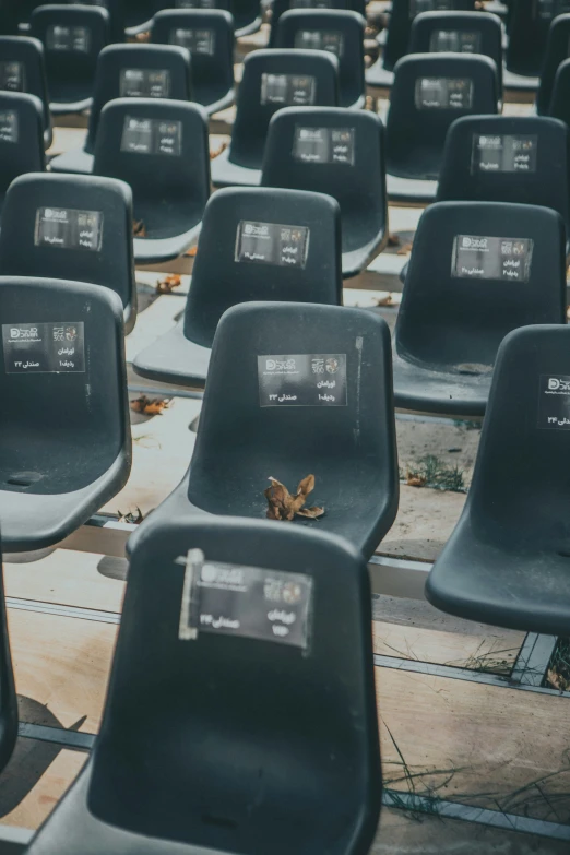 empty chairs set up to be used for sporting events