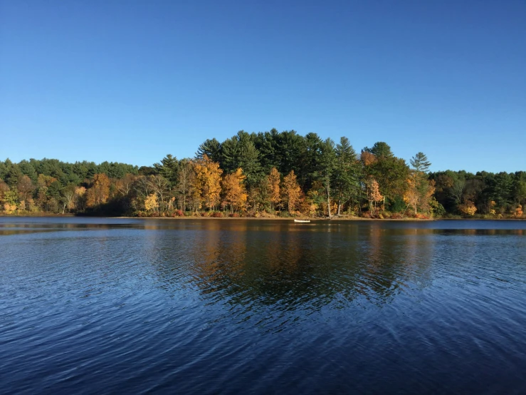 an image of a lake surrounded by trees