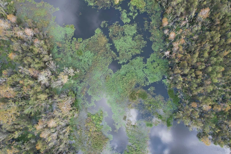 the view from the air looking down on a pond in the woods