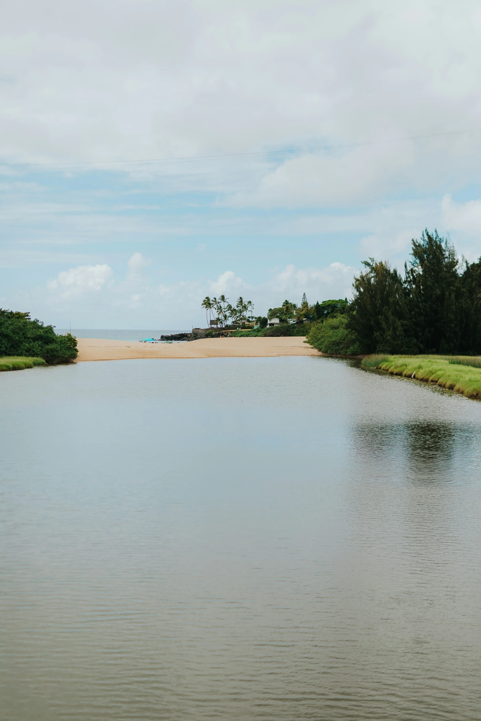 water is blue in color and the grass is green