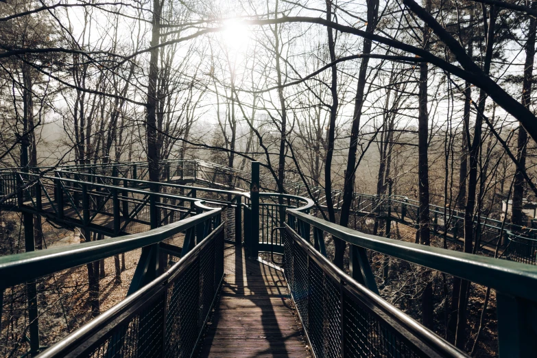 a train track in the woods on a sunny day