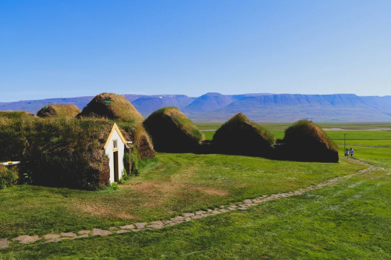 the grass houses are shaped like horses in a field