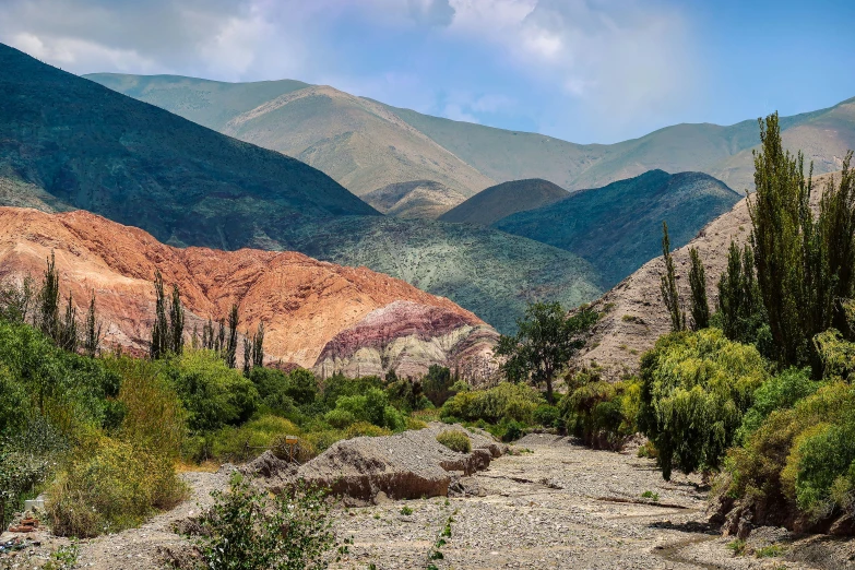 mountains near a body of water with trees in the foreground