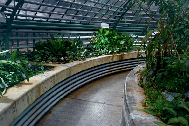 a long bench in the middle of some plants