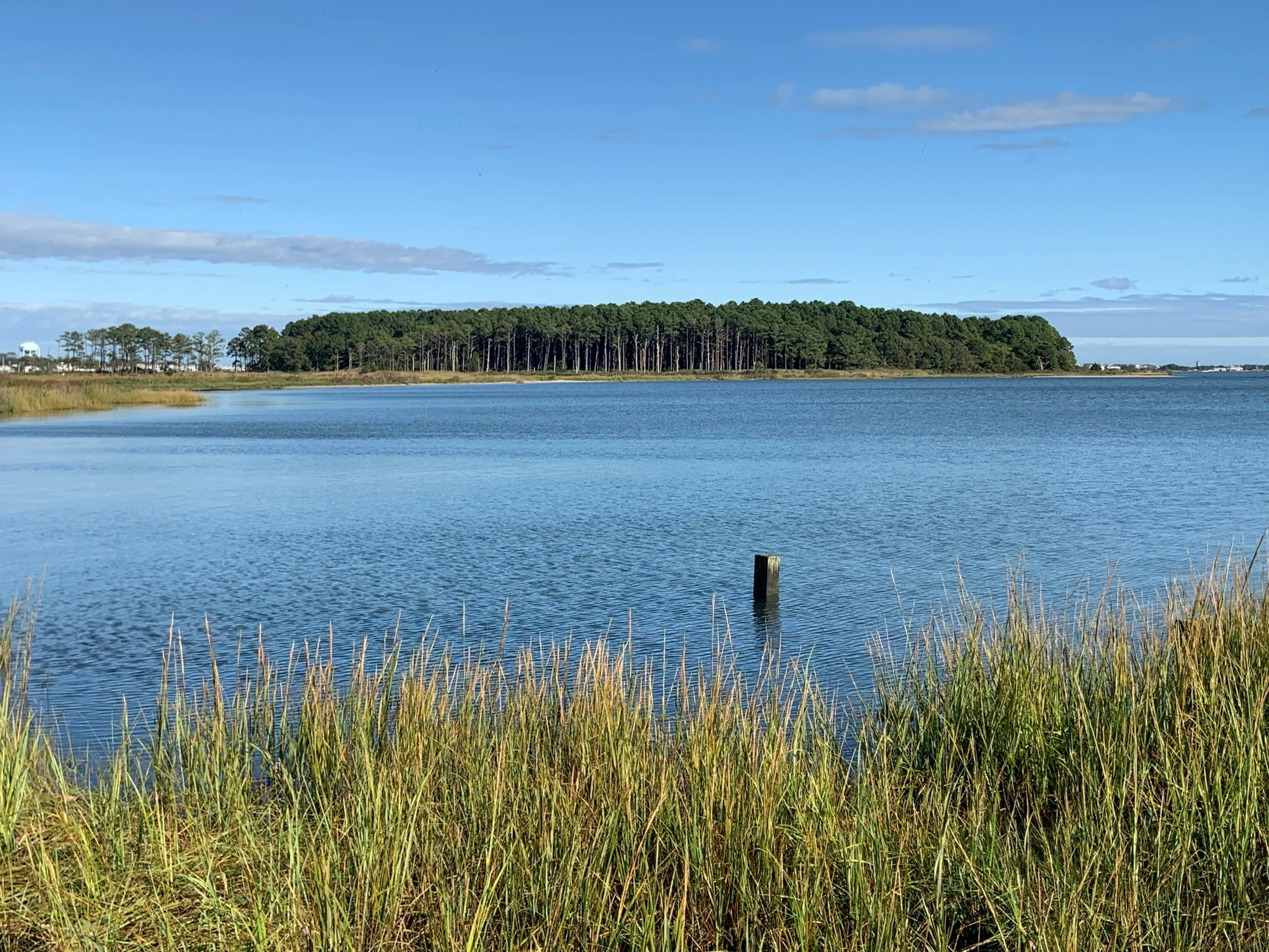 a body of water surrounded by a lush green hillside