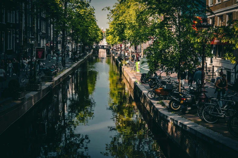 the water is reflecting the trees along the side