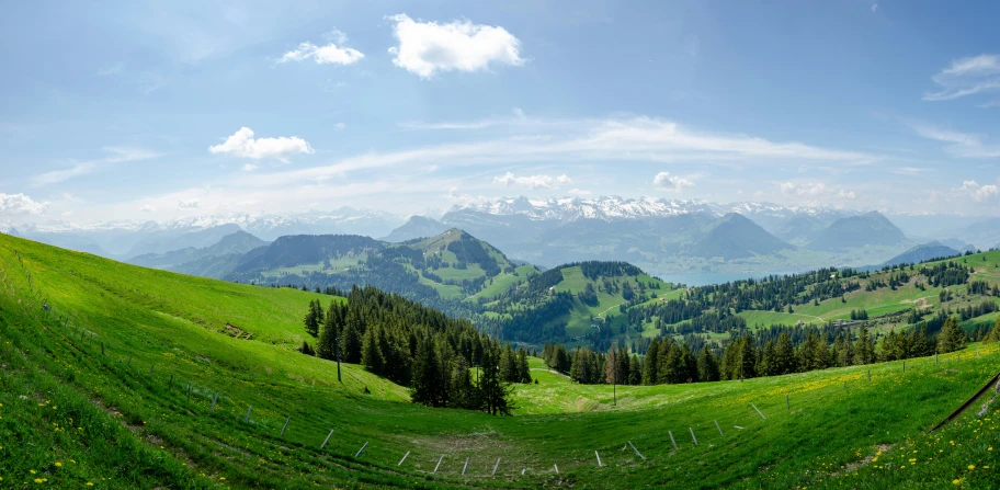 the hills have many flowers on them with mountain view