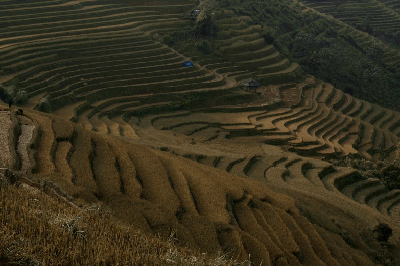 a beautiful countryside has many fields with different shapes