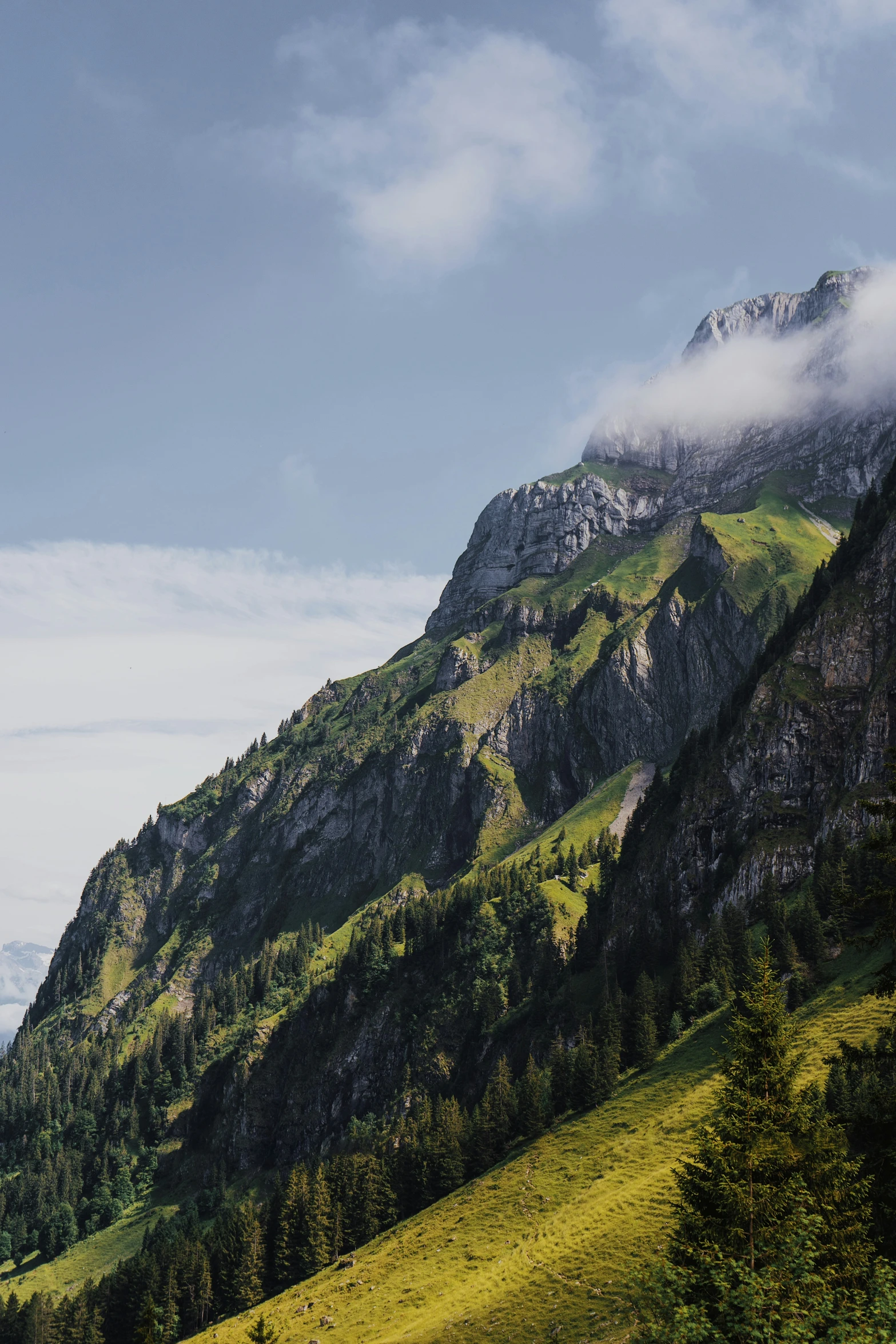 a mountain is covered in mist and green vegetation