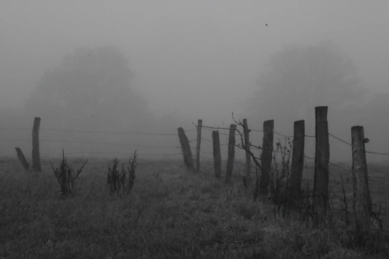 fog covers a rural area with wooden fences