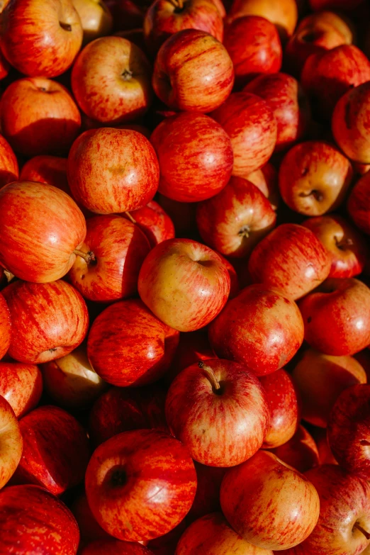 a large basket full of red apples with some light shining on them