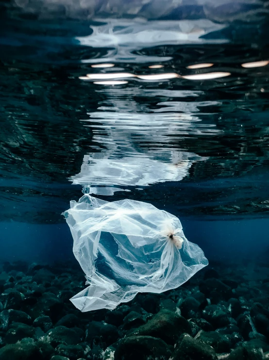 trash bag in a body of water surrounded by rocks